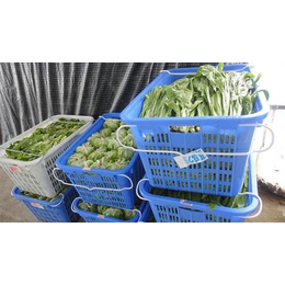 天美和农产品(图)|天河蔬菜配送价钱|石牌蔬菜配送