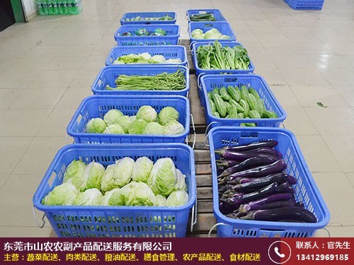 代理商 广西食堂蔬菜配送种植基地 山农送菜